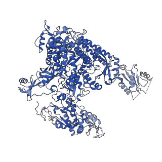 23904_7ml0_A_v1-1
RNA polymerase II pre-initiation complex (PIC1)