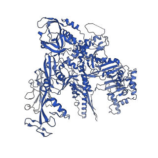 23904_7ml0_B_v1-1
RNA polymerase II pre-initiation complex (PIC1)