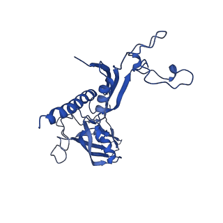 23904_7ml0_C_v1-1
RNA polymerase II pre-initiation complex (PIC1)