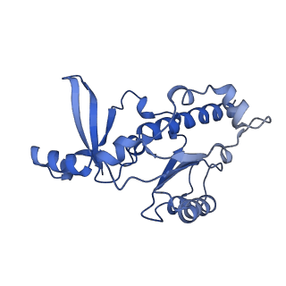 23904_7ml0_E_v1-1
RNA polymerase II pre-initiation complex (PIC1)