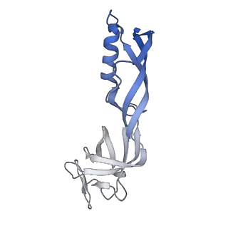 23904_7ml0_G_v1-1
RNA polymerase II pre-initiation complex (PIC1)