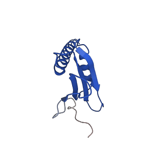 23904_7ml0_K_v1-1
RNA polymerase II pre-initiation complex (PIC1)