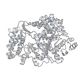 23905_7ml1_0_v1-1
RNA polymerase II pre-initiation complex (PIC2)