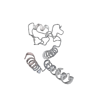 23905_7ml1_3_v1-1
RNA polymerase II pre-initiation complex (PIC2)