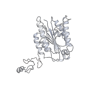 23905_7ml1_4_v1-1
RNA polymerase II pre-initiation complex (PIC2)