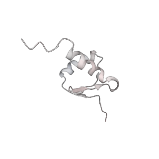 23905_7ml1_5_v1-1
RNA polymerase II pre-initiation complex (PIC2)