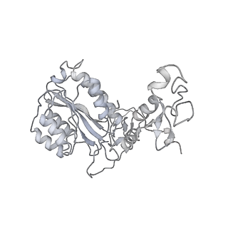 23905_7ml1_6_v1-1
RNA polymerase II pre-initiation complex (PIC2)