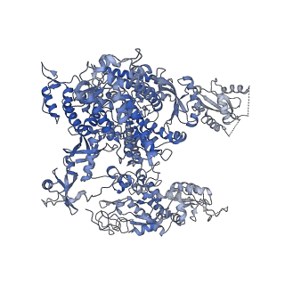23905_7ml1_A_v1-1
RNA polymerase II pre-initiation complex (PIC2)