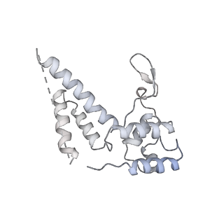 23905_7ml1_D_v1-1
RNA polymerase II pre-initiation complex (PIC2)