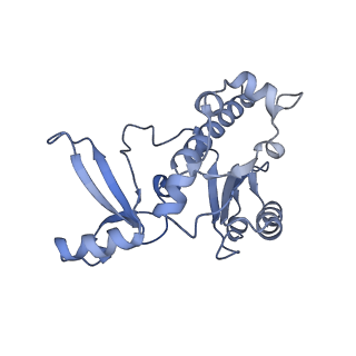 23905_7ml1_E_v1-1
RNA polymerase II pre-initiation complex (PIC2)