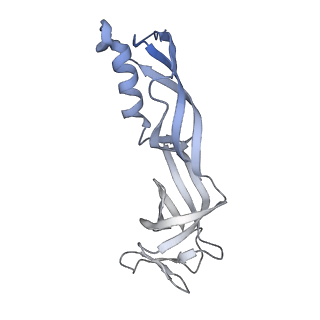 23905_7ml1_G_v1-1
RNA polymerase II pre-initiation complex (PIC2)