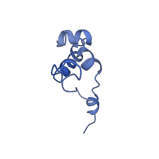 23905_7ml1_J_v1-1
RNA polymerase II pre-initiation complex (PIC2)