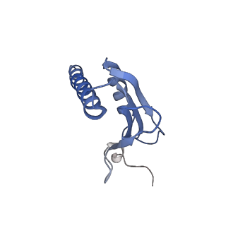 23905_7ml1_K_v1-1
RNA polymerase II pre-initiation complex (PIC2)