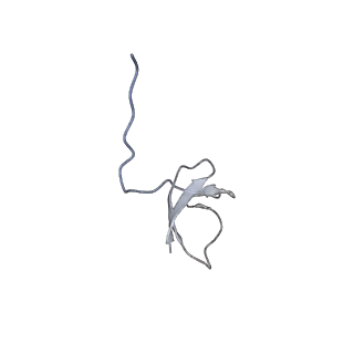 23905_7ml1_L_v1-1
RNA polymerase II pre-initiation complex (PIC2)