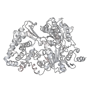 23906_7ml2_0_v1-1
RNA polymerase II pre-initiation complex (PIC3)