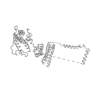 23906_7ml2_1_v1-1
RNA polymerase II pre-initiation complex (PIC3)
