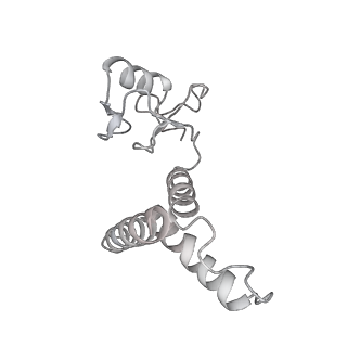 23906_7ml2_3_v1-1
RNA polymerase II pre-initiation complex (PIC3)