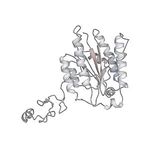 23906_7ml2_4_v1-1
RNA polymerase II pre-initiation complex (PIC3)