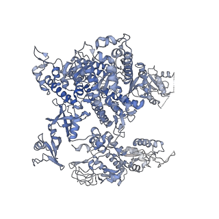 23906_7ml2_A_v1-1
RNA polymerase II pre-initiation complex (PIC3)