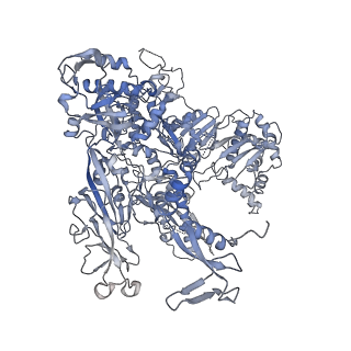 23906_7ml2_B_v1-1
RNA polymerase II pre-initiation complex (PIC3)