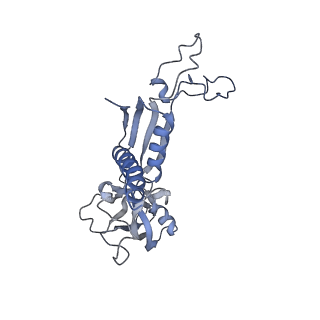 23906_7ml2_C_v1-1
RNA polymerase II pre-initiation complex (PIC3)