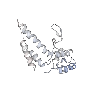 23906_7ml2_D_v1-1
RNA polymerase II pre-initiation complex (PIC3)