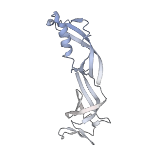 23906_7ml2_G_v1-1
RNA polymerase II pre-initiation complex (PIC3)