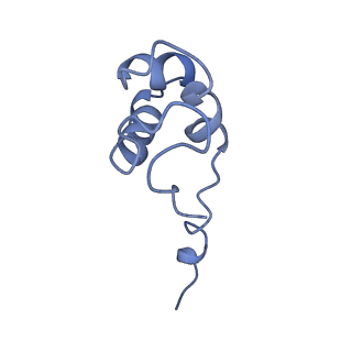 23906_7ml2_J_v1-1
RNA polymerase II pre-initiation complex (PIC3)