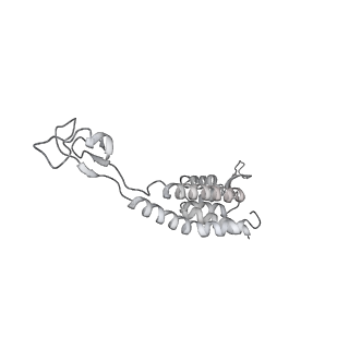23906_7ml2_W_v1-1
RNA polymerase II pre-initiation complex (PIC3)
