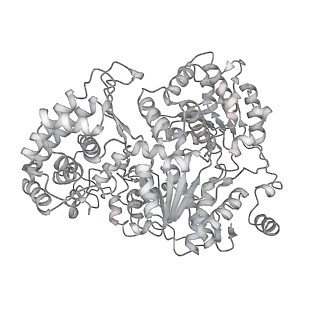 23908_7ml4_0_v1-0
RNA polymerase II initially transcribing complex (ITC)