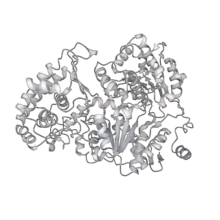 23908_7ml4_0_v2-0
RNA polymerase II initially transcribing complex (ITC)
