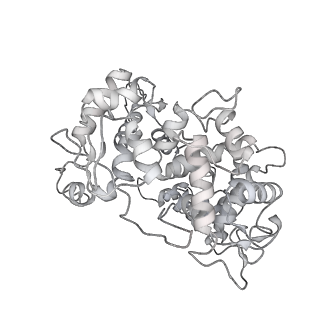 23908_7ml4_2_v2-0
RNA polymerase II initially transcribing complex (ITC)