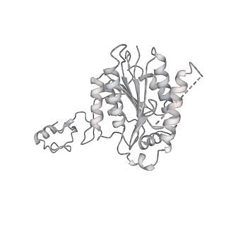 23908_7ml4_4_v1-0
RNA polymerase II initially transcribing complex (ITC)