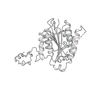 23908_7ml4_4_v2-0
RNA polymerase II initially transcribing complex (ITC)
