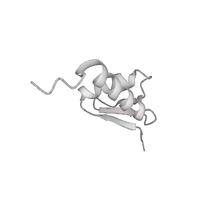 23908_7ml4_5_v1-0
RNA polymerase II initially transcribing complex (ITC)