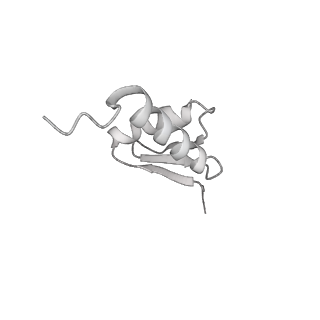 23908_7ml4_5_v2-0
RNA polymerase II initially transcribing complex (ITC)