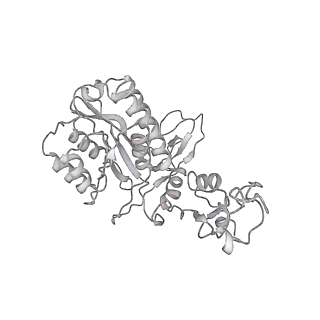 23908_7ml4_6_v1-0
RNA polymerase II initially transcribing complex (ITC)