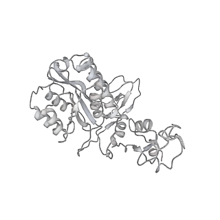 23908_7ml4_6_v2-0
RNA polymerase II initially transcribing complex (ITC)