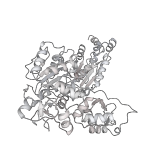 23908_7ml4_7_v1-0
RNA polymerase II initially transcribing complex (ITC)