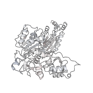 23908_7ml4_7_v2-0
RNA polymerase II initially transcribing complex (ITC)