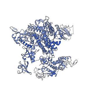 23908_7ml4_A_v1-0
RNA polymerase II initially transcribing complex (ITC)
