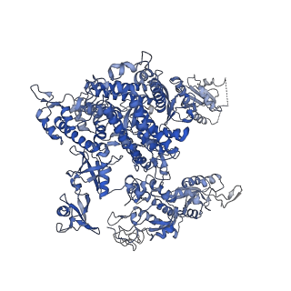 23908_7ml4_A_v2-0
RNA polymerase II initially transcribing complex (ITC)