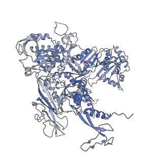 23908_7ml4_B_v1-0
RNA polymerase II initially transcribing complex (ITC)