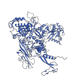 23908_7ml4_B_v2-0
RNA polymerase II initially transcribing complex (ITC)