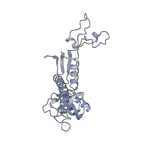 23908_7ml4_C_v1-0
RNA polymerase II initially transcribing complex (ITC)