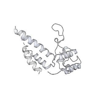 23908_7ml4_D_v1-0
RNA polymerase II initially transcribing complex (ITC)