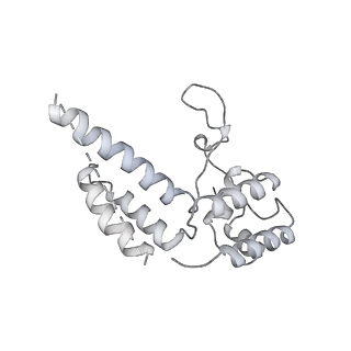 23908_7ml4_D_v2-0
RNA polymerase II initially transcribing complex (ITC)