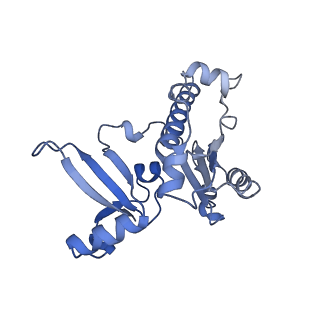 23908_7ml4_E_v1-0
RNA polymerase II initially transcribing complex (ITC)