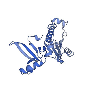 23908_7ml4_E_v2-0
RNA polymerase II initially transcribing complex (ITC)