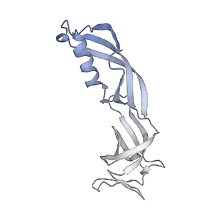 23908_7ml4_G_v1-0
RNA polymerase II initially transcribing complex (ITC)